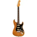 Alt-Img-Fender AM Pro II Strat RST PIN-Img-2093