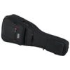 Gator G-PG Classic Guitar-Img-37379