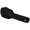 Gator GBE-AC-Bass-Img-38607