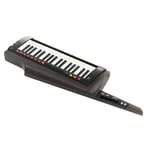 Korg RK-100S 2 Black-Img-51452