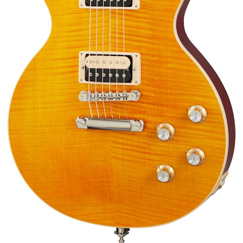Gibson Les Paul Slash Standard AA-Img-162613