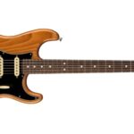 Alt-Img-Fender AM Pro II Strat RST PIN-Img-163520