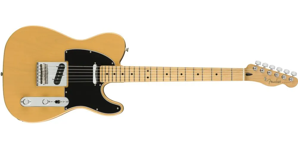 Fender Player Series Tele MN BTB-Img-163725 Alt-Img-Fender Player Series Tele MN BTB-Img-163725
