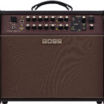 Boss ACS Acoustic Singer Pro-Img-165052
