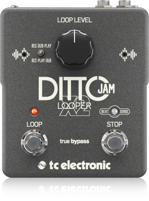 tc electronic Ditto Jam X2 Looper-Img-165239