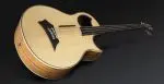 Warwick Alien Deluxe 4 FL NT-Img-169612