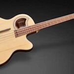 Warwick Alien Deluxe 4 Hybrid Thinline-Img-169614