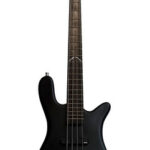 Warwick Artist Line Robert Trujillo 4-Img-169618