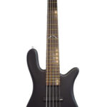 Warwick Artist Line Robert Trujillo 5-Img-169622
