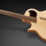 Warwick Alien Deluxe 5 NT LH-Img-169650
