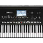 Korg PA-300-Img-172069
