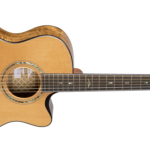 Cort Gold Edge LE-Img-187533