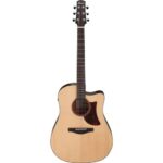 Ibanez AAD170CE-LGS-Img-187781
