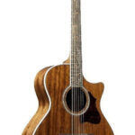 Ibanez AE245-NT-Img-187830