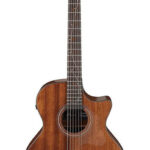 Ibanez AE295-LGS-Img-187846