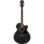 Ibanez AE295-WK-Img-187851