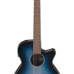 Ibanez AEG50-IBH-Img-187891