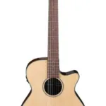 Ibanez AEG50N-NT Nylon-Img-187905
