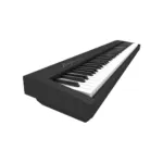 Roland FP-30X BK-Img-191285