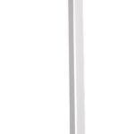 EV Evolve 50 White-Img-195855