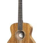 Taylor GS Mini-e Koa-Img-196173