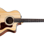 Taylor 214ce Plus-Img-235407