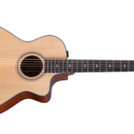 Taylor 312ce-N Nylon-Img-235467