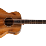 Taylor GS Mini-e Koa Bass-Img-235509
