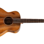 Taylor GS Mini-e Koa Bass-Img-235509