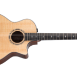 Taylor 314ce-N-Img-235530