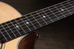 Taylor 314ce-N-Img-235534
