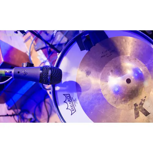 Telefunken M81 SH-Img-236214
