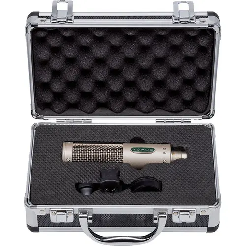 Royer Labs R-10-Img-236296