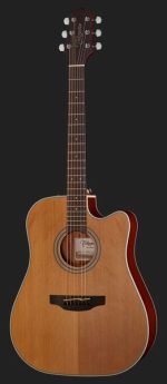 Takamine GD20CE-N-Img-119733