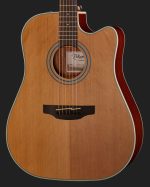 Takamine GD20CE-N-Img-119735