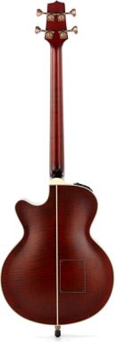 Takamine TB10-Img-120158