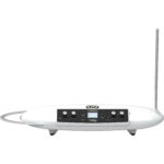 Moog Theremini - Imagen 2