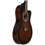 Ibanez GA35TCE-DVS - Imagen 2