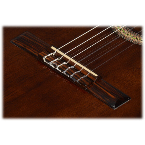 Ibanez GA35TCE-DVS - Imagen 8