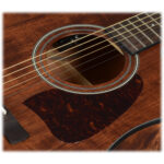 Ibanez AW54CE-OPN - Imagen 10