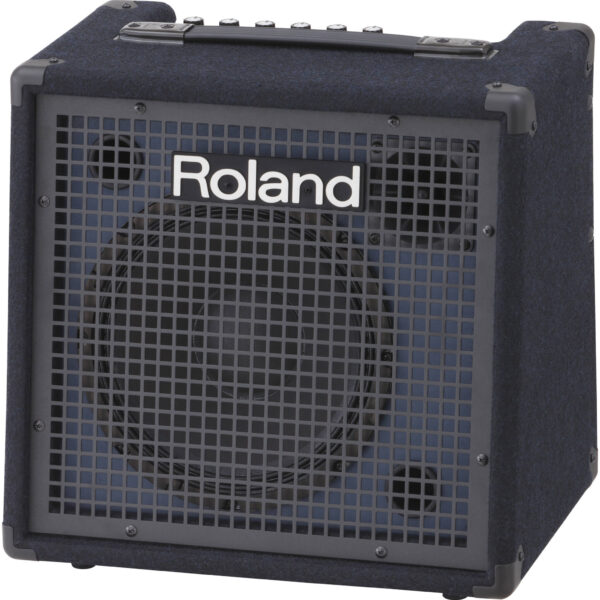 Roland KC-80 - Imagen 1