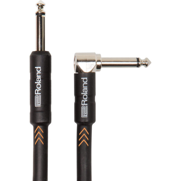 Roland RIC-B10A - Imagen 1