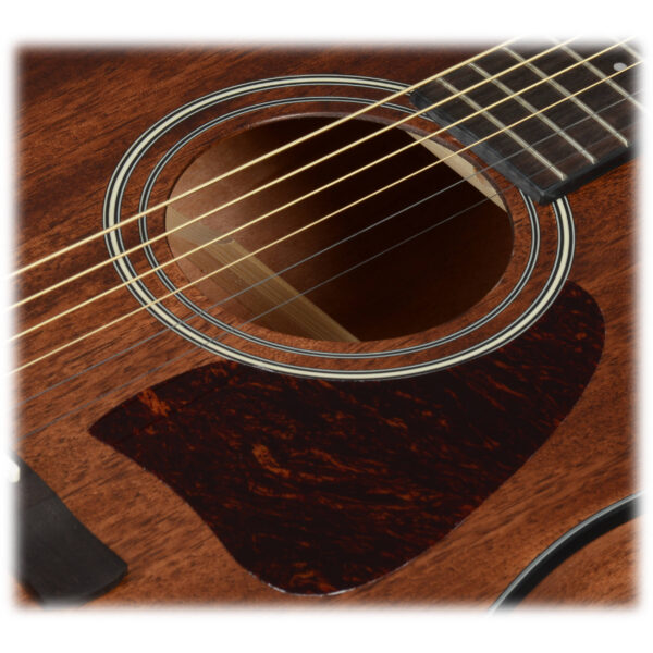 Ibanez AW54-OPN - Imagen 10