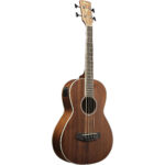 Ibanez PNB14E-OPN Acoustic Bass - Imagen 2