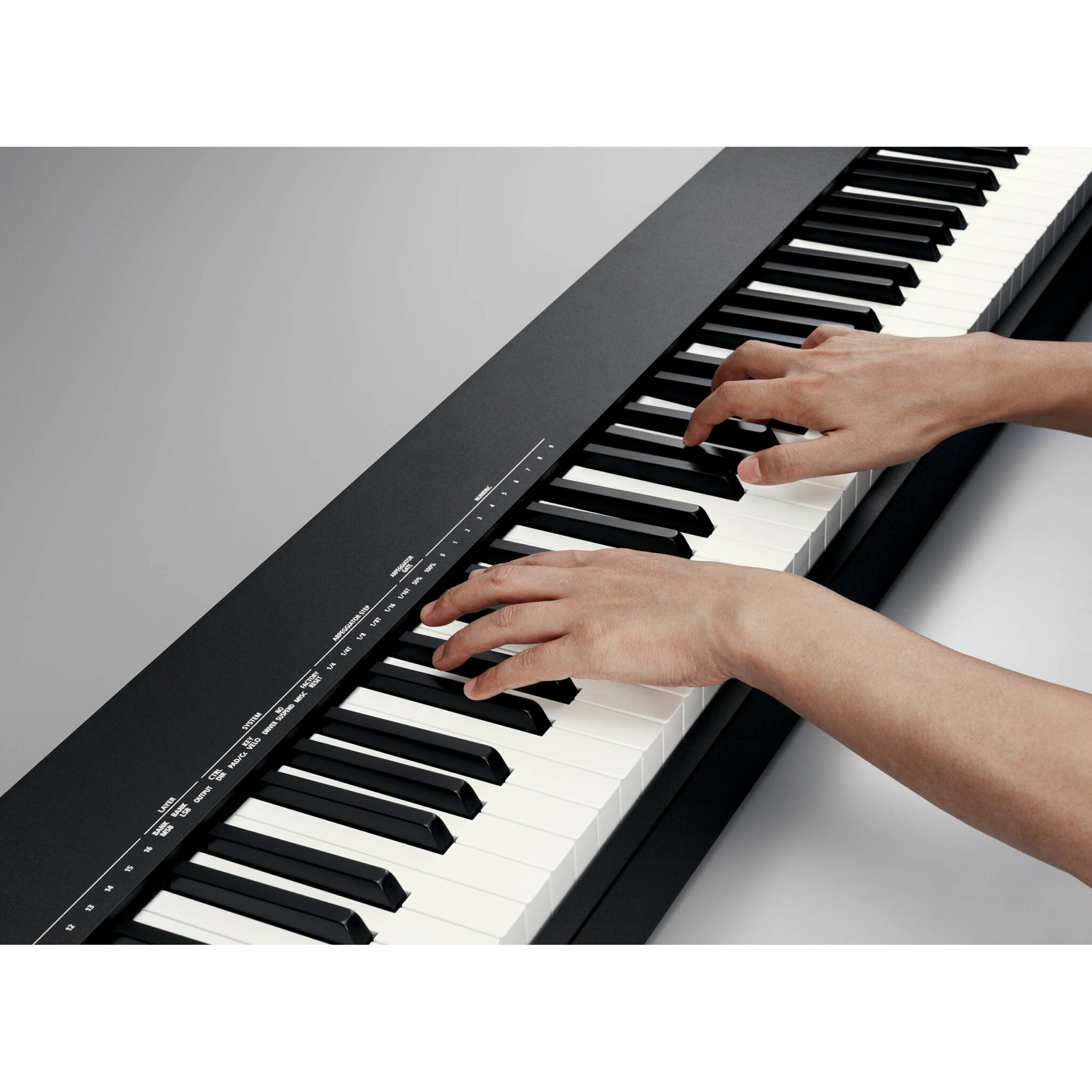 1579086943_IMG_1303566.jpg Roland A-88 MKII - Imagen 6
