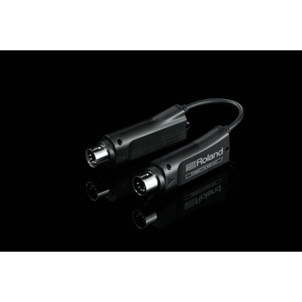 Roland WM-1 - Imagen 3