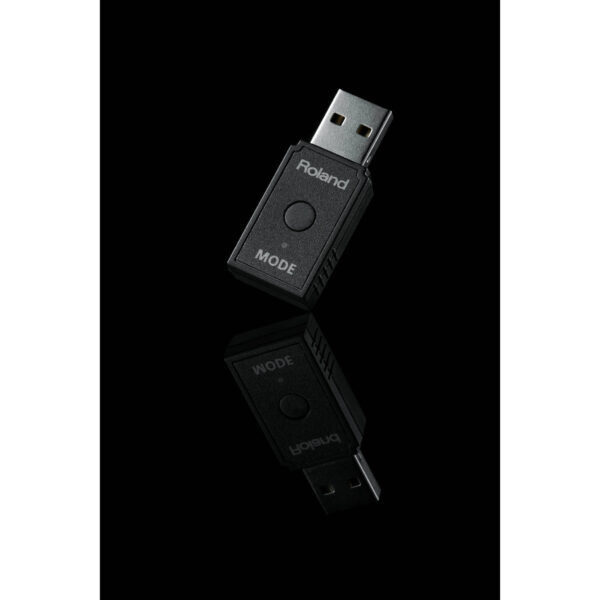 Roland WM-1D - Imagen 2