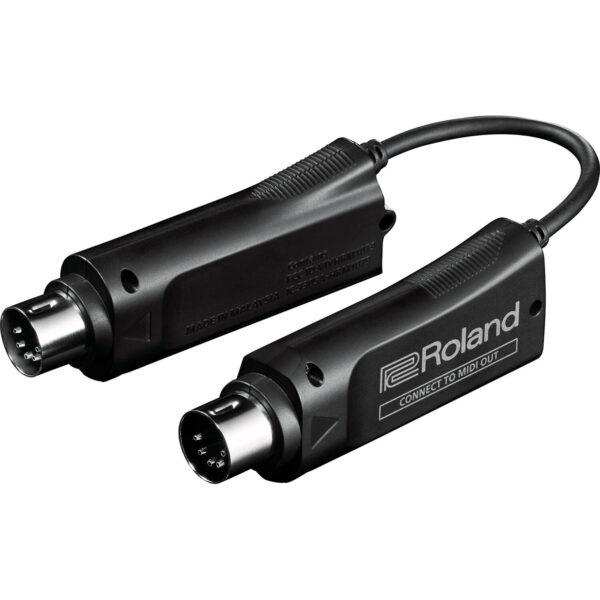 Roland WM-1 - Imagen 1