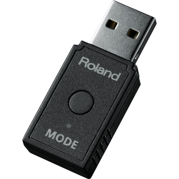 Roland WM-1D - Imagen 1