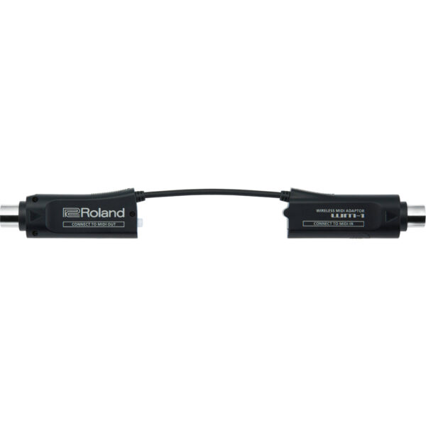 Roland WM-1 - Imagen 4
